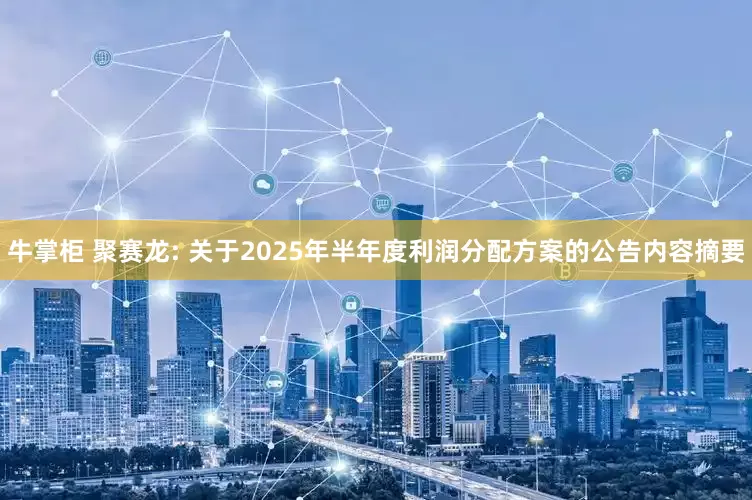 牛掌柜 聚赛龙: 关于2025年半年度利润分配方案的公告内容摘要