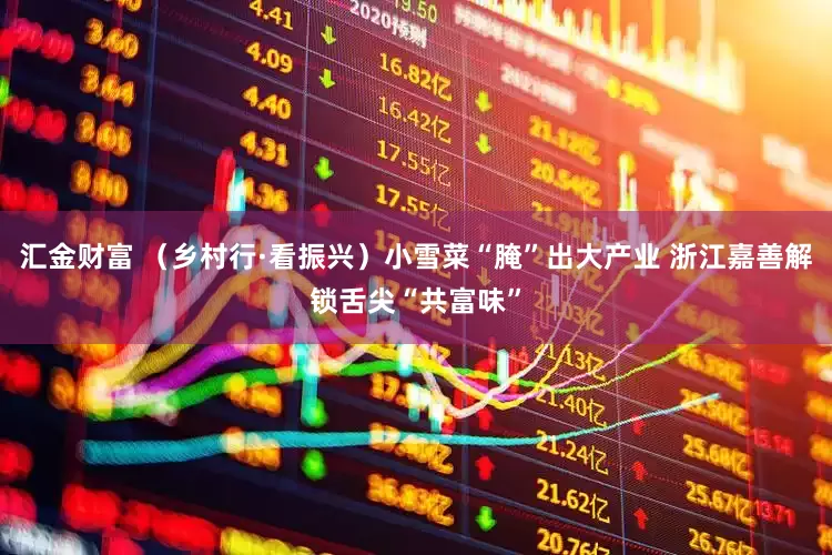汇金财富 （乡村行·看振兴）小雪菜“腌”出大产业 浙江嘉善解锁舌尖“共富味”